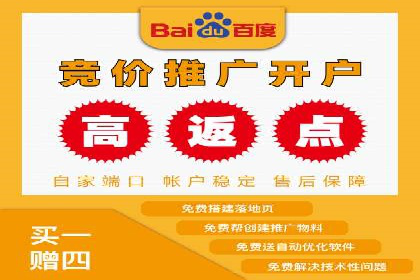 某行业SEM投放效果显著案例分享